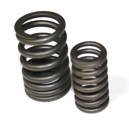 Valve Spring