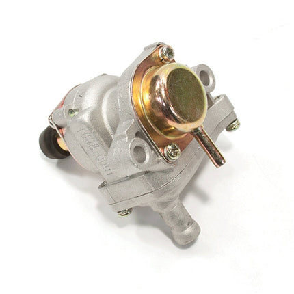 Exhaust Emission Valve (EGR Valve) for ZS125-30