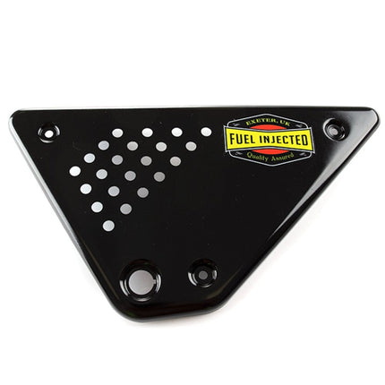 Lower Left Side Panel for LJ125-9A, LJ125-9A-GT, LJ125-9A-GT-E5, LJ125-9A-E5