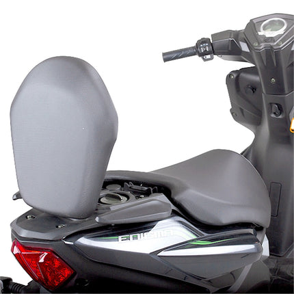 Rear Luggage Rack for ZS125T-48