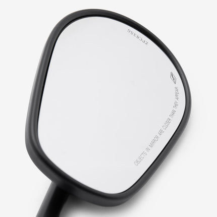 Left Mirror