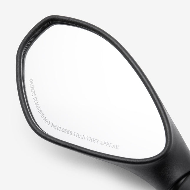 Left Mirror