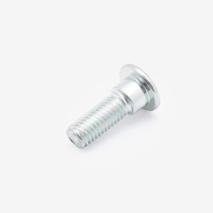 Bolt M8 X25mm