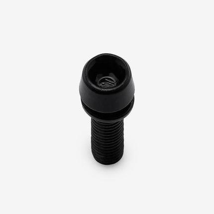 Bolt and Spring Washer M5 x 19mm