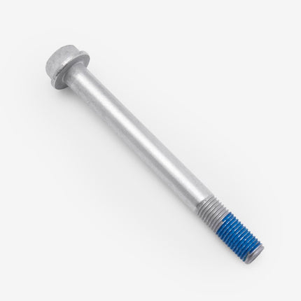 Bolt M10 x 100mm