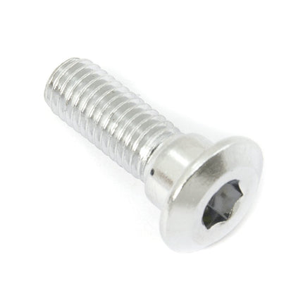 Disc Brake Bolt M8 x 25mm