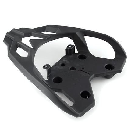 Pillion Handle