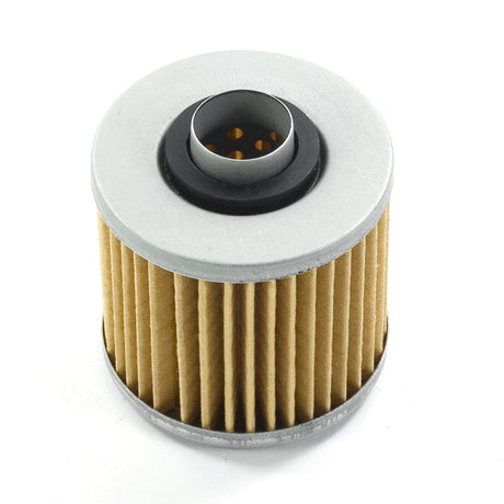 Lextek Oil Filter X302 HF145 - Paper for LF250, JL250V, LF250-B, LF400