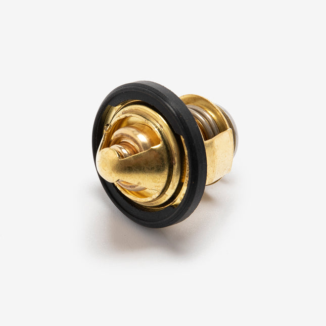 Thermostat for LJ300T-18-E5, LJ300T-18A-E5