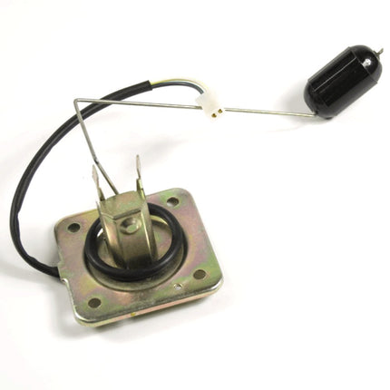 Fuel Level Sensor for DY200