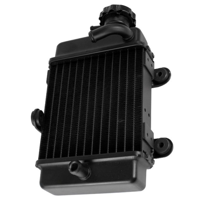 Right Radiator for ZS125GY-10, ZS125GY-10C