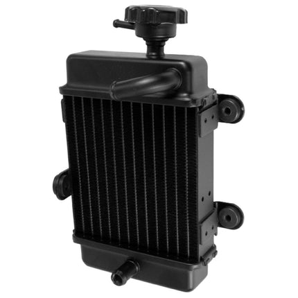 Right Radiator for ZS125GY-10, ZS125GY-10C