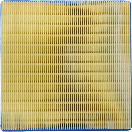 Air Filter 03-07 Polaris Predator 500 48-1025 5830226