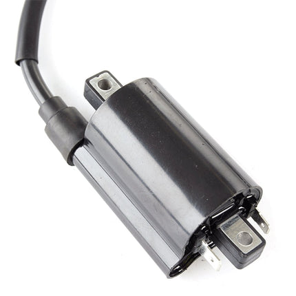 Ignition Coil for ZS125T-48