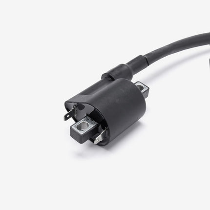Ignition Coil for ZS125-39-E5