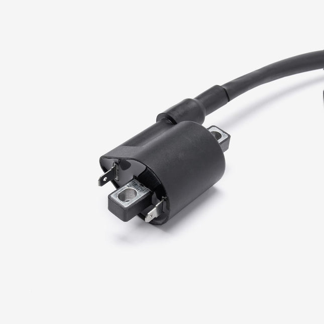 Ignition Coil for ZS125-39-E5