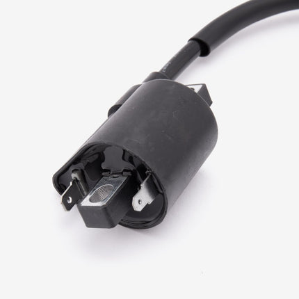 Ignition Coil for LJ125T-X-E5