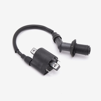 Ignition Coil for LJ125T-X-E5