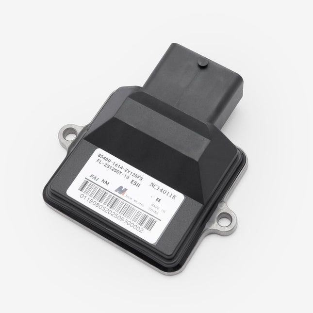 ECU for Lexmoto Carrera 125 E55 [ZS125GY-13-E55]