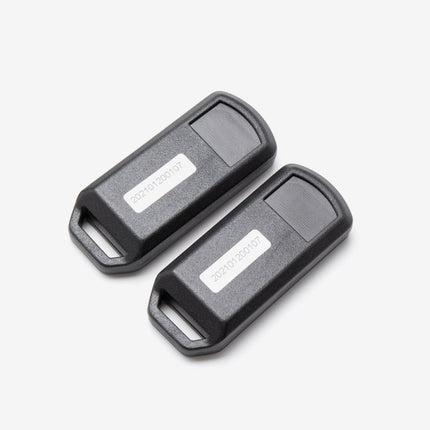 Keyless Ignition Controller and 2 Keys for LX6000D-A-E5