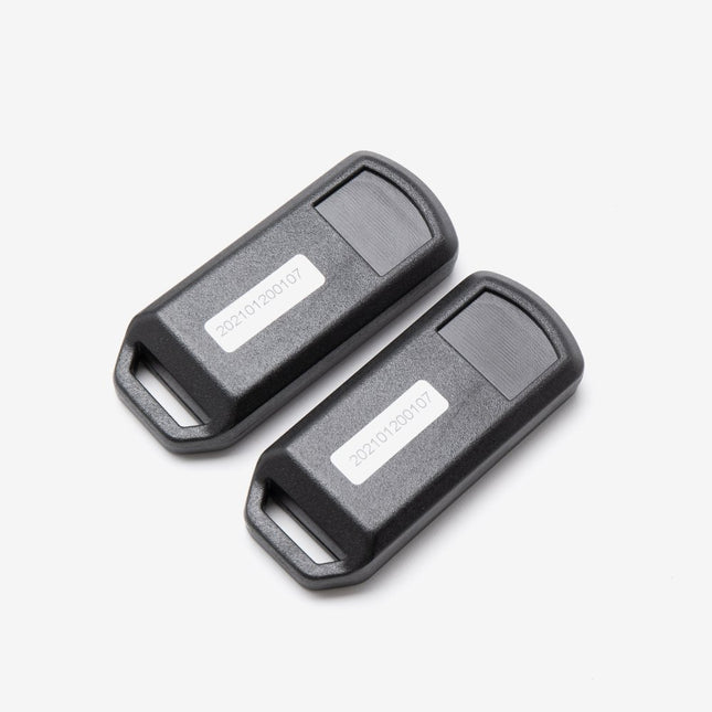 Keyless Ignition Controller and 2 Keys for LX6000D-A-E5