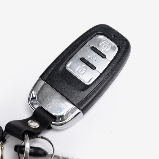 Remote Fob, Key & Lock Set