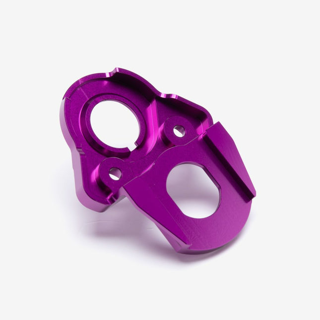 Full-E Charged Ignition Mount Plate for Light Bee