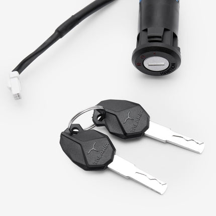 Lock Set