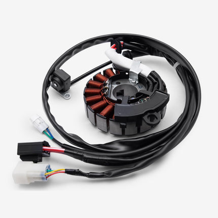 Stator Assembly