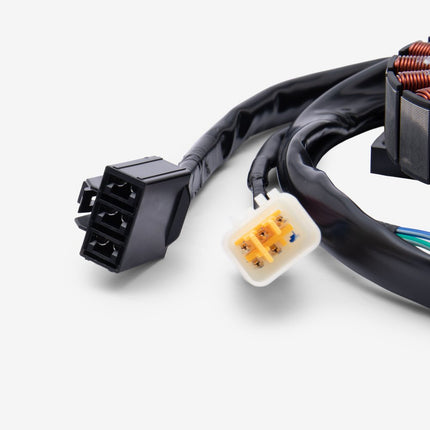 Stator Assembly