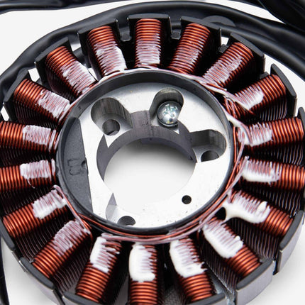 Stator Assembly
