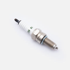 Collection image for: Torch