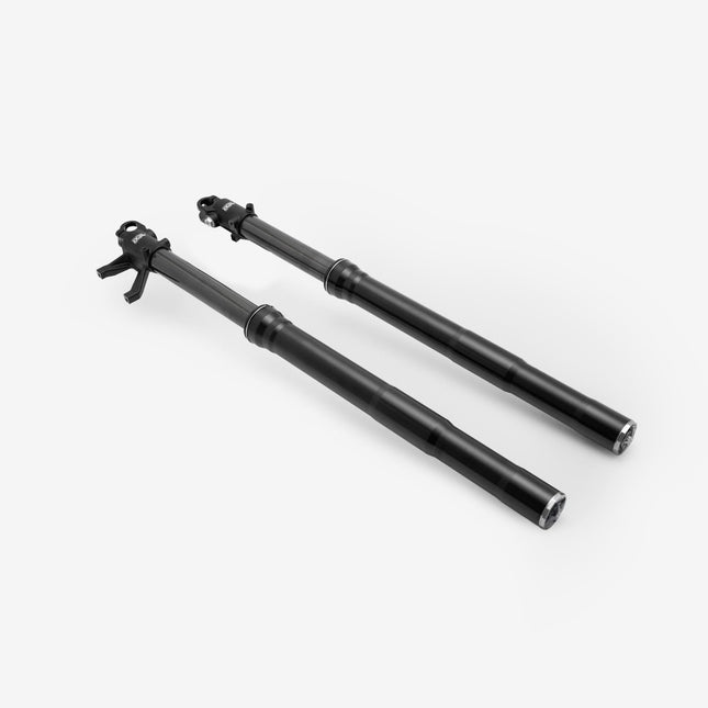 FastAce Front Suspension (Pair) - Gold Cap