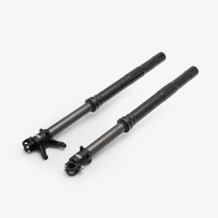 FastAce Front Suspension (Pair) - Gold Cap