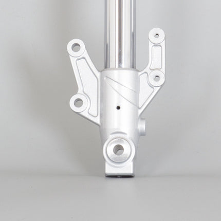 Left Gold Suspension Fork for ZS125-48F, ZS125-48F-E4, ZONES125