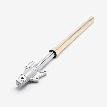 Left Gold Suspension Fork for ZS125-48F, ZS125-48F-E4, ZONES125