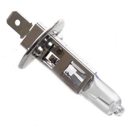 Headlight Bulb 55W for TN12 EFI / ZS125T-48 / XGJ125-27B