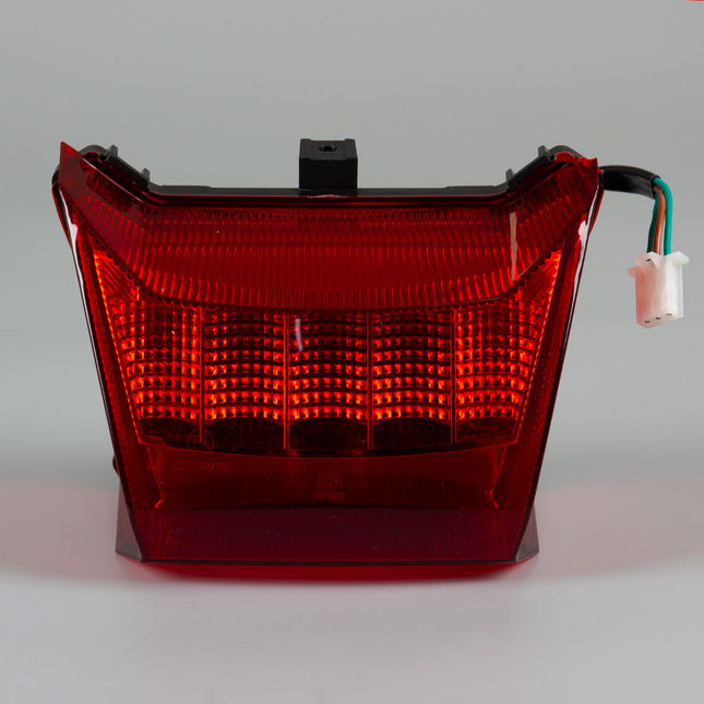 Tail Light Assembly LED for ZS1200DT