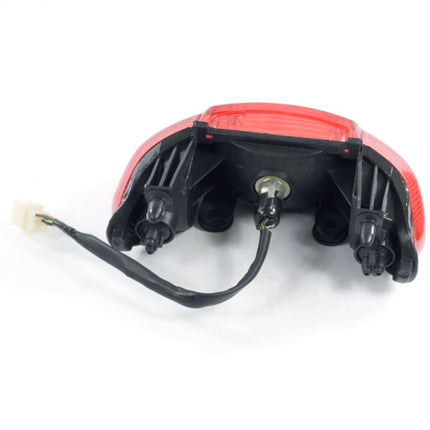 Tail Light Assembly for LF100-A