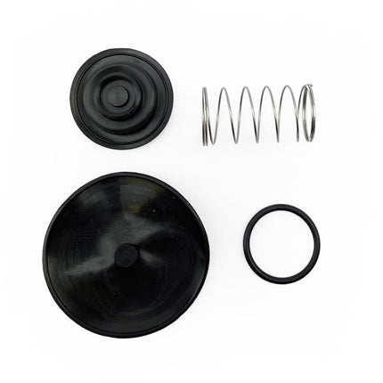 Repair Kit Petcock GL1500, FIR Road