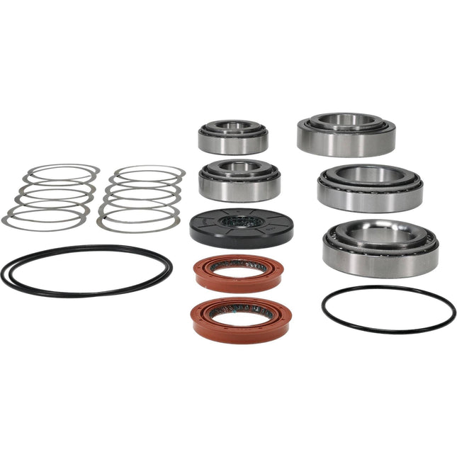 Rear Differential Bearing And Seal Kit, Allballs 25-2147