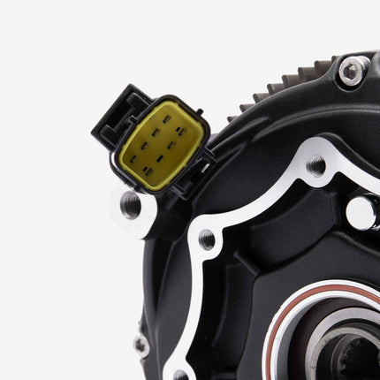 Motor