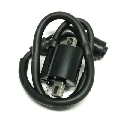 Ignition Coil Ht Cf Moto Bronco AT-01680