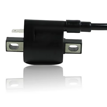 Ignition Coil & Cap Yamaha PW50 TT125 Yfm 250 350 400 450 3KJ-82310-10-00 3FA-82310-00-00