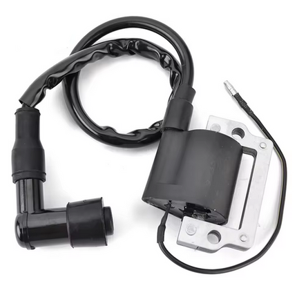 Ignition Coil + Cap 6V Yamaha Dt Gt It Rt 255-82310-40 33410-430010