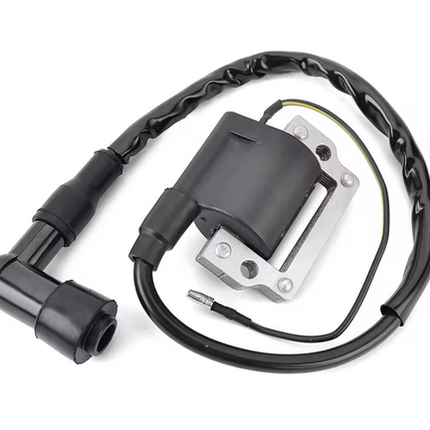 Ignition Coil + Cap 6V Yamaha Dt Gt It Rt 255-82310-40 33410-430010