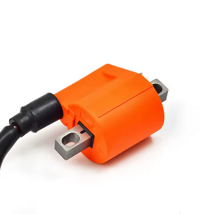 Ignition Coil + Cap Yamaha Big Bear Raptor Grizzly 4RP-82310-29-00 3KJ-82310-10-00