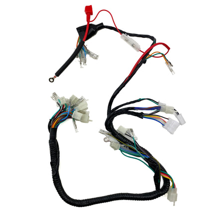 Wiring Loom Harness Lights Honda CG125