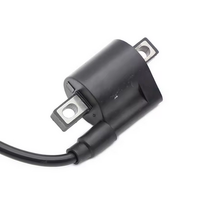 Ignition Coil Yamaha XVS650 V-star Classic Custom TTR250 DT50 Pw 50 80 RT100 1UY-82310-41