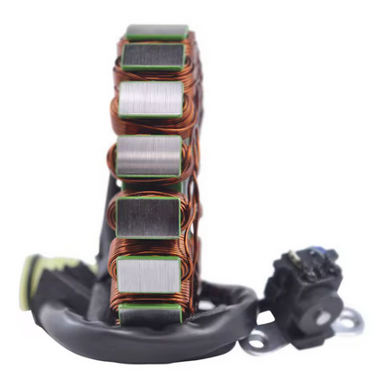 Stator 2006-2020 Yamaha Yfm 700R Raptor 1S3-81410-00-00
